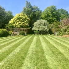 Lawn Care